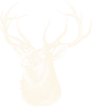 The Deer's Head